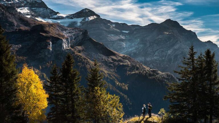 How To Connect To 99Exch Customer Care Instantly?